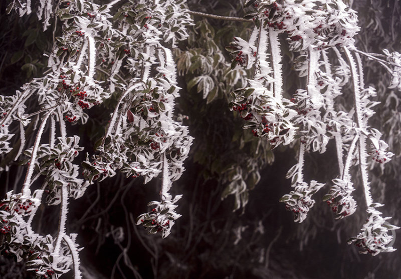 麻豆国产精品va在线观看约海报