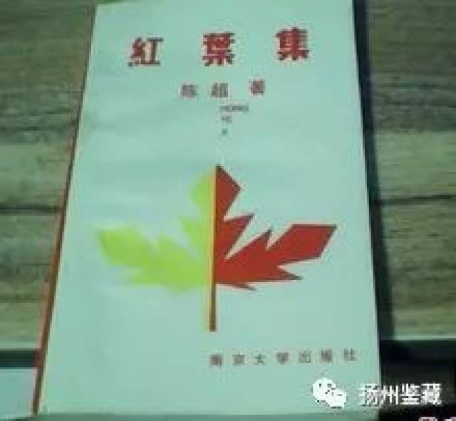 啪影视 在2.4秒定律里本该被剪掉海报