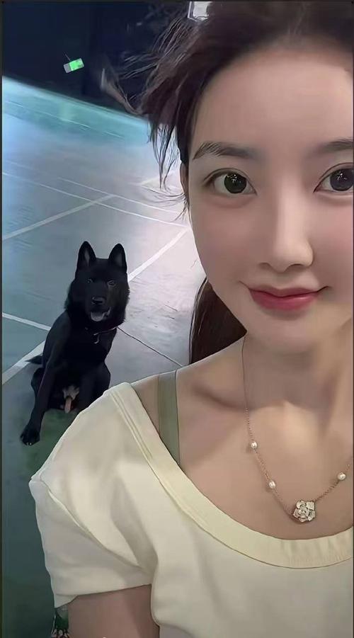 未成年开车被交警抓到怎么办海报