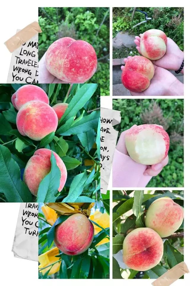 国精品午夜福利视频海报