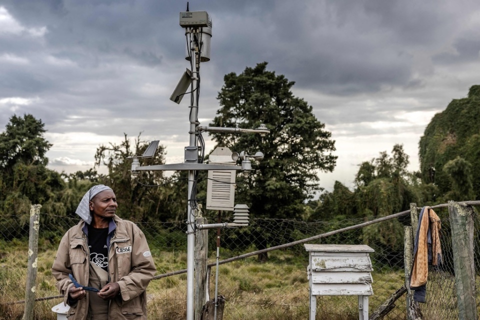 暗网稀有视频海报