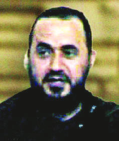 人形犬 商品化的人形犬贪婪目光