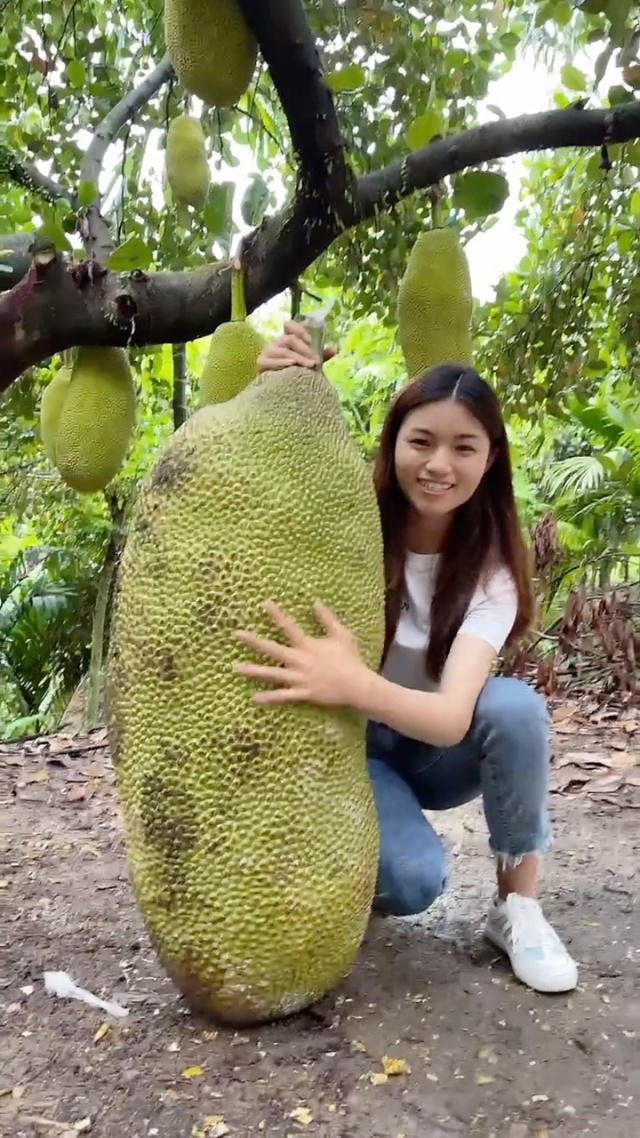 zeckary911同人动漫网