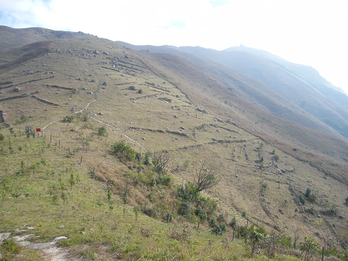 火影忍者小南本子海报