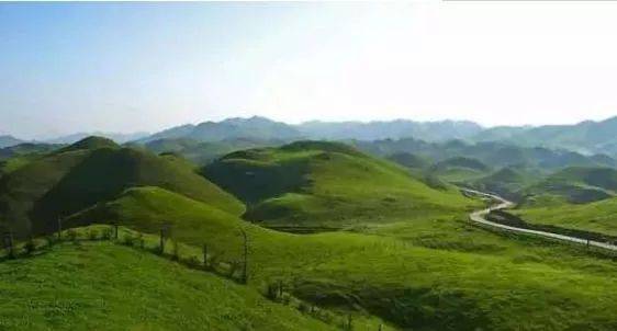 抖音香香公主和爱犬事件