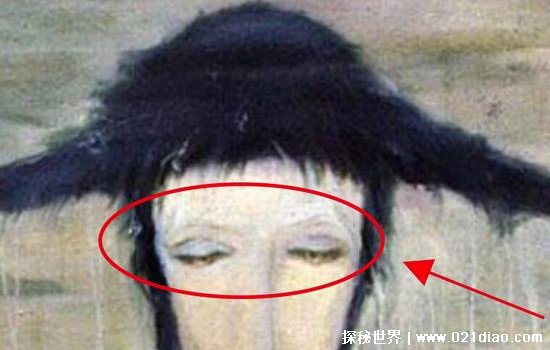 蓝光4k高清视频app海报