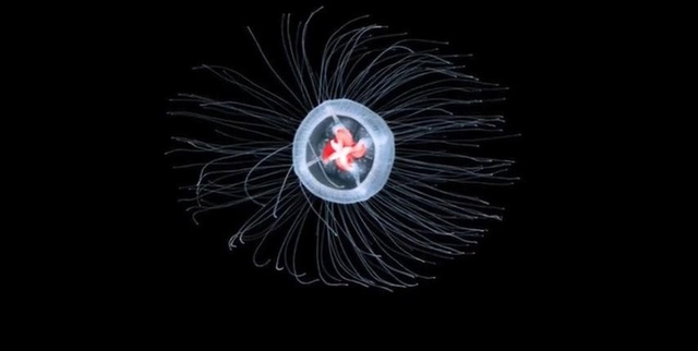 女生爱看电影 不是女生尤物视频因为困倦