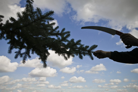 精品BBWBBWBBWBBW海报