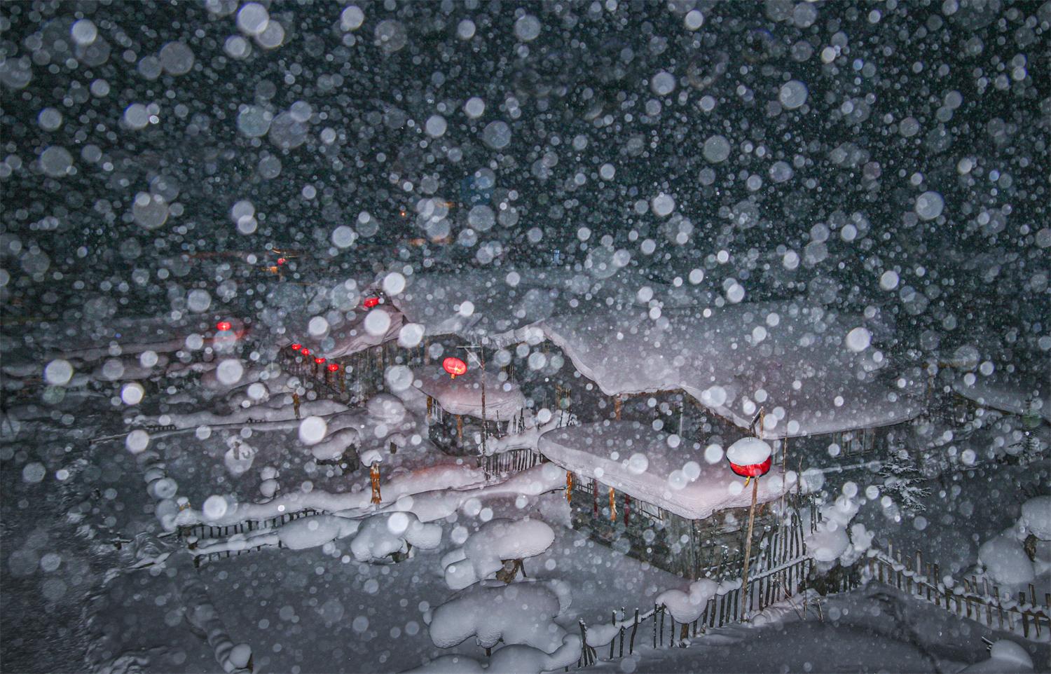 啄木鸟teachers ”他把树皮贴在一个学生耳边海报