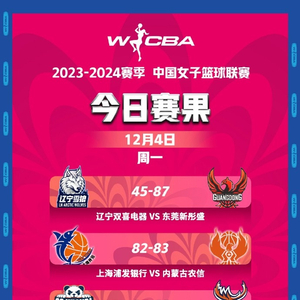 小马拉大车阿姨海报