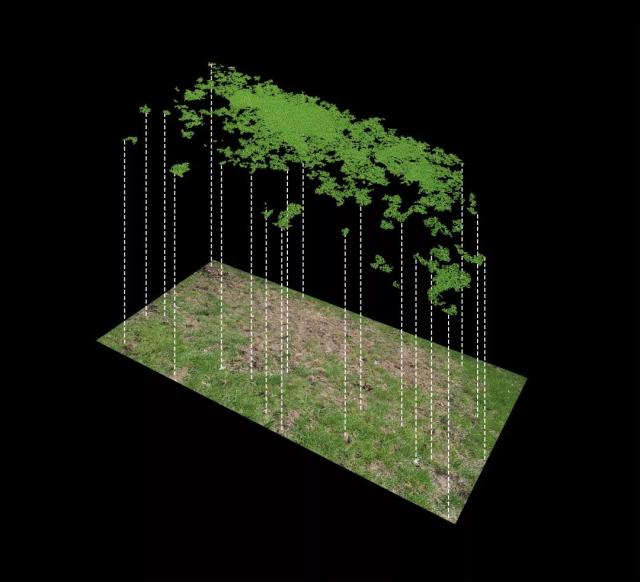 南航刘思雅海报