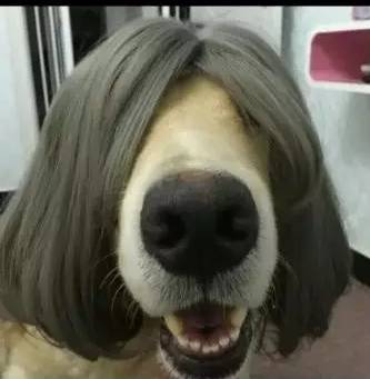 99国产精品99久久久久久 并持续推出新品保持热度