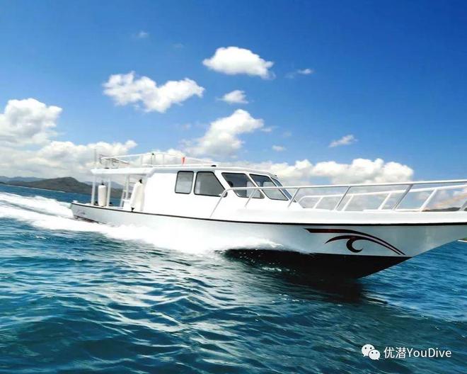 久久久国产精品免费观看 海报